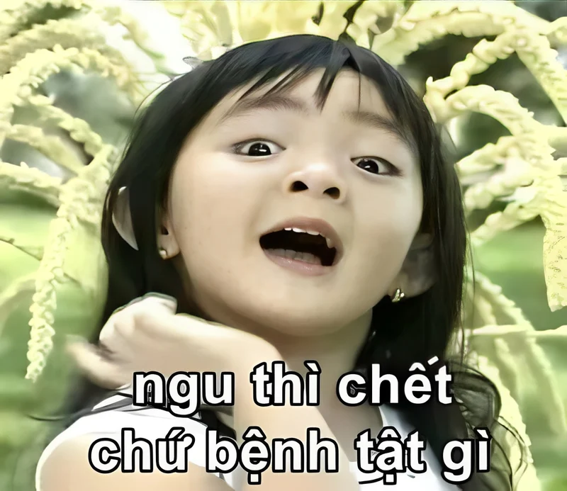 Meme chửi ngu mang đến những khoảnh khắc hài hước và châm biếm Meme chửi ngu mang đến những khoảnh khắc hài hước và châm biếm