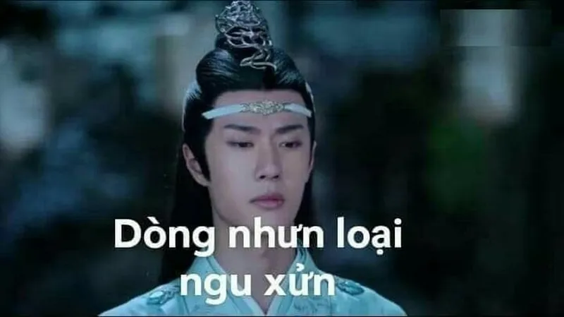 Meme ngu ngốc giúp bạn thư giãn và cười thoải mái Meme ngu ngốc giúp bạn thư giãn và cười thoải mái