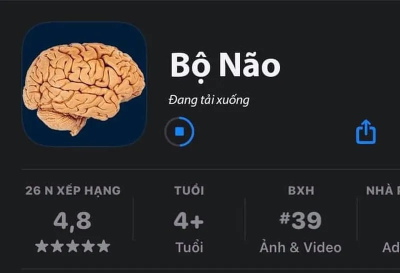 Ngu thì chết khóc lóc cl meme thể hiện sự hài hước trong những tình huống khó khăn Ngu thì chết khóc lóc cl meme thể hiện sự hài hước trong những tình huống khó khăn