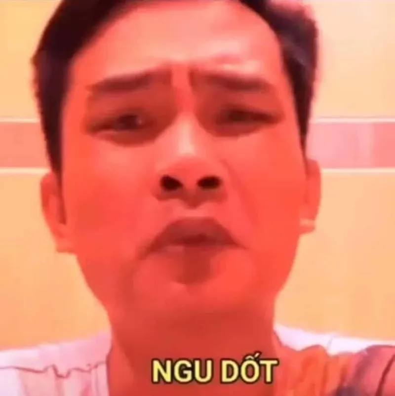 Meme mèo cầu nguyện dễ thương khiến mọi người cảm thấy vui vẻ Meme mèo cầu nguyện dễ thương khiến mọi người cảm thấy vui vẻ