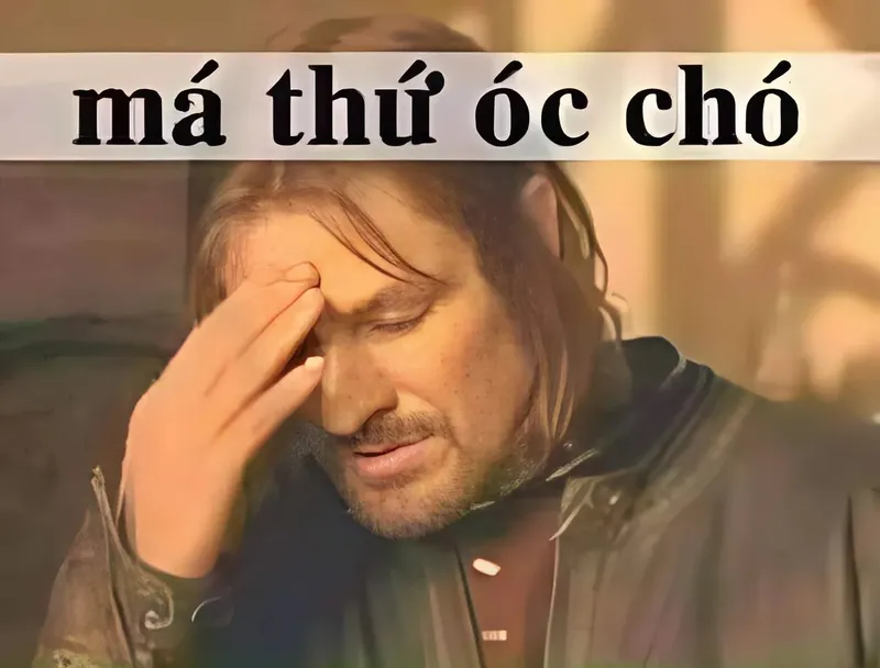 Meme nguyễn hữu đa mang đến những khoảnh khắc hài hước và thú vị Meme nguyễn hữu đa mang đến những khoảnh khắc hài hước và thú vị