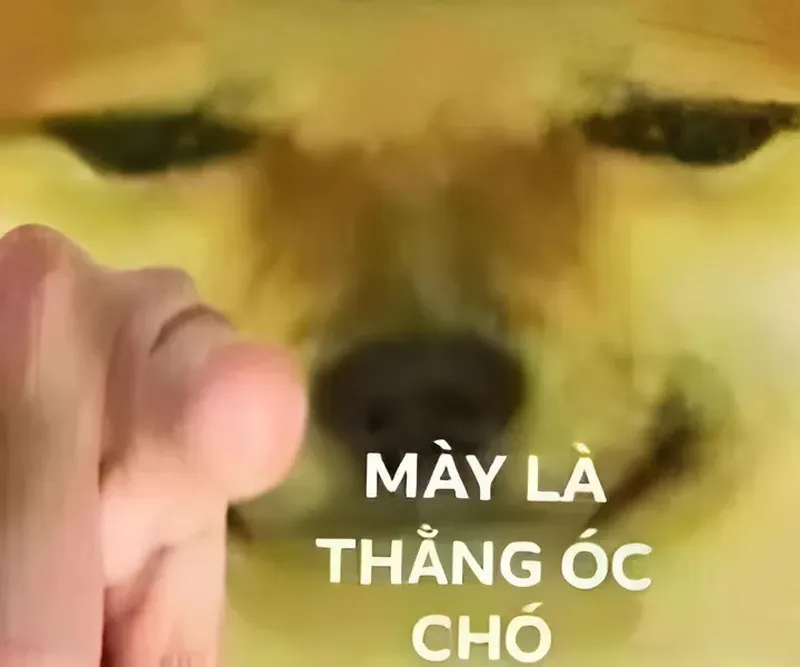 Nguyen meme giúp bạn thể hiện sự hài hước một cách sáng tạo Nguyen meme giúp bạn thể hiện sự hài hước một cách sáng tạo