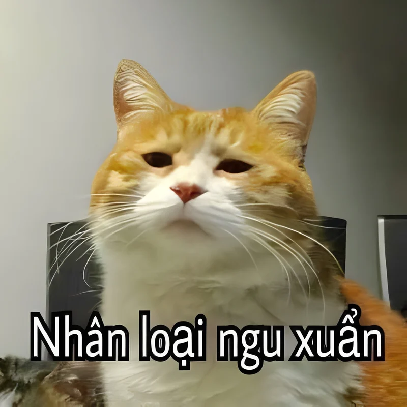 Amongus meme giúp bạn thể hiện sự hài hước trong các tình huống bất ngờ Amongus meme giúp bạn thể hiện sự hài hước trong các tình huống bất ngờ