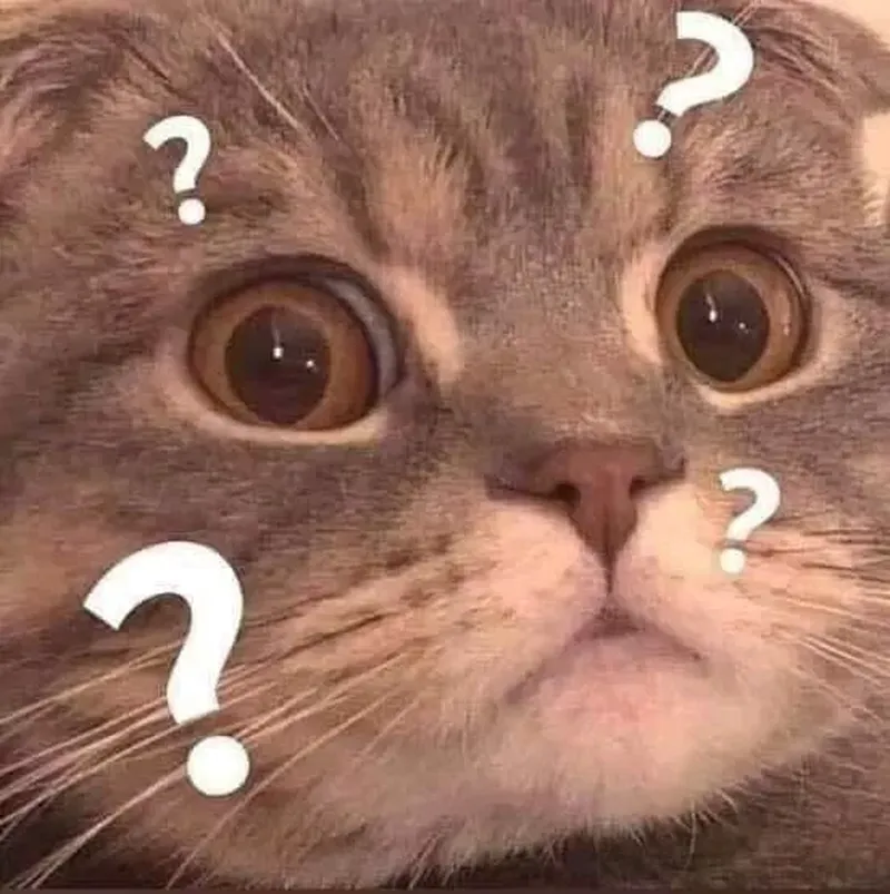 Mặt ngu meme khiến mọi người không thể nhịn cười với biểu cảm hài hước Mặt ngu meme khiến mọi người không thể nhịn cười với biểu cảm hài hước