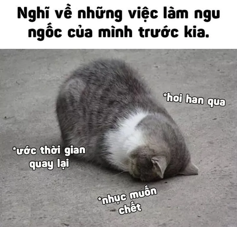 Meme ngu ngục mang đến những khoảnh khắc hài hước và thú vị Meme ngu ngục mang đến những khoảnh khắc hài hước và thú vị
