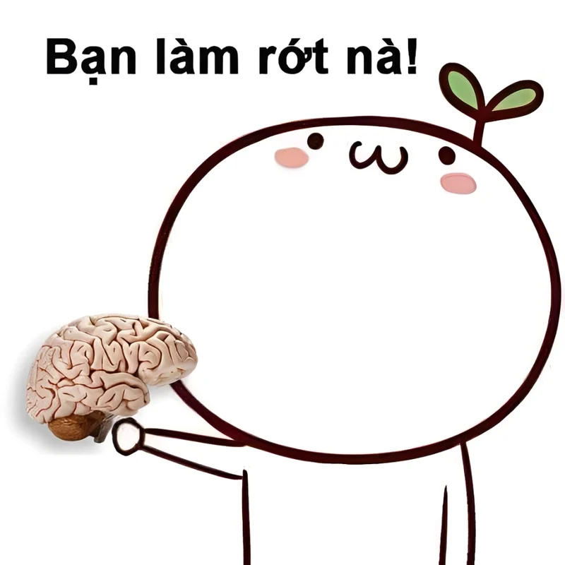 Meme mặt ngu khiến mọi người không thể nhịn cười với biểu cảm hài hước Meme mặt ngu khiến mọi người không thể nhịn cười với biểu cảm hài hước