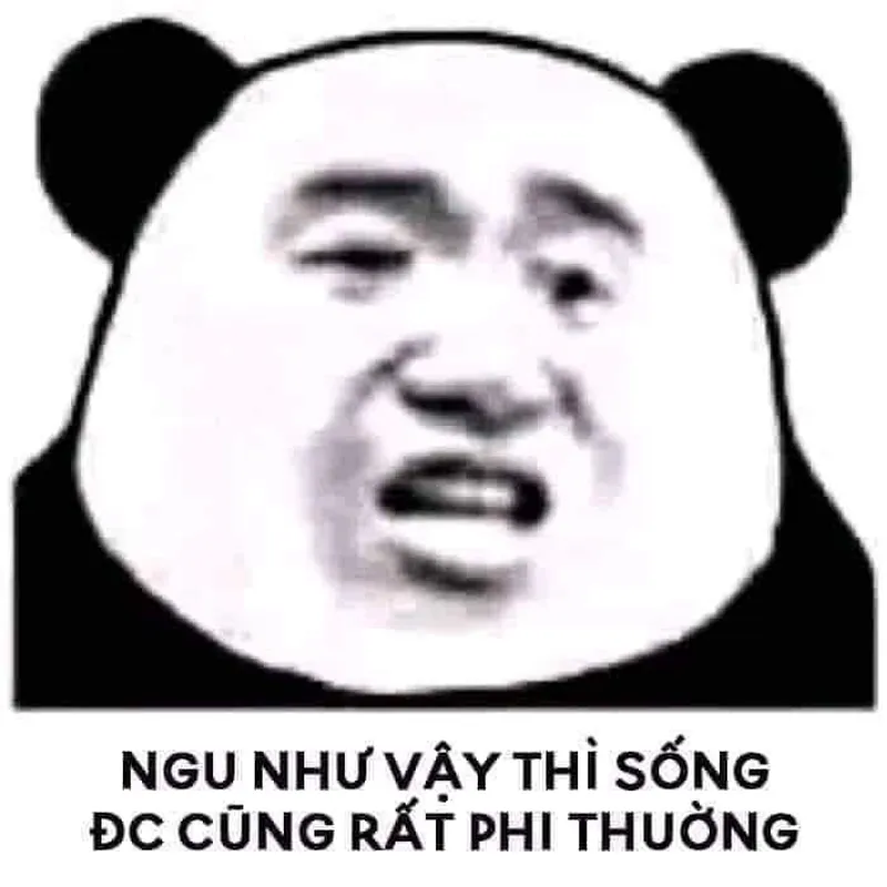 Meme chuc ngu ngon thể hiện sự hài hước trong những tình huống dở khóc dở cười Meme chuc ngu ngon thể hiện sự hài hước trong những tình huống dở khóc dở cười