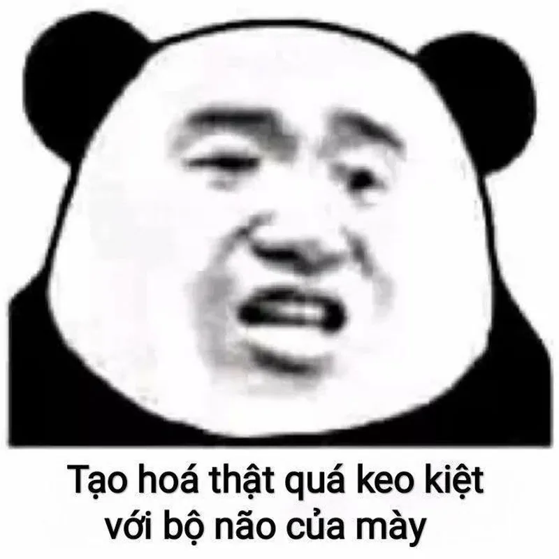 Meme mãn nguyện giúp bạn thư giãn và cười thoải mái Meme mãn nguyện giúp bạn thư giãn và cười thoải mái