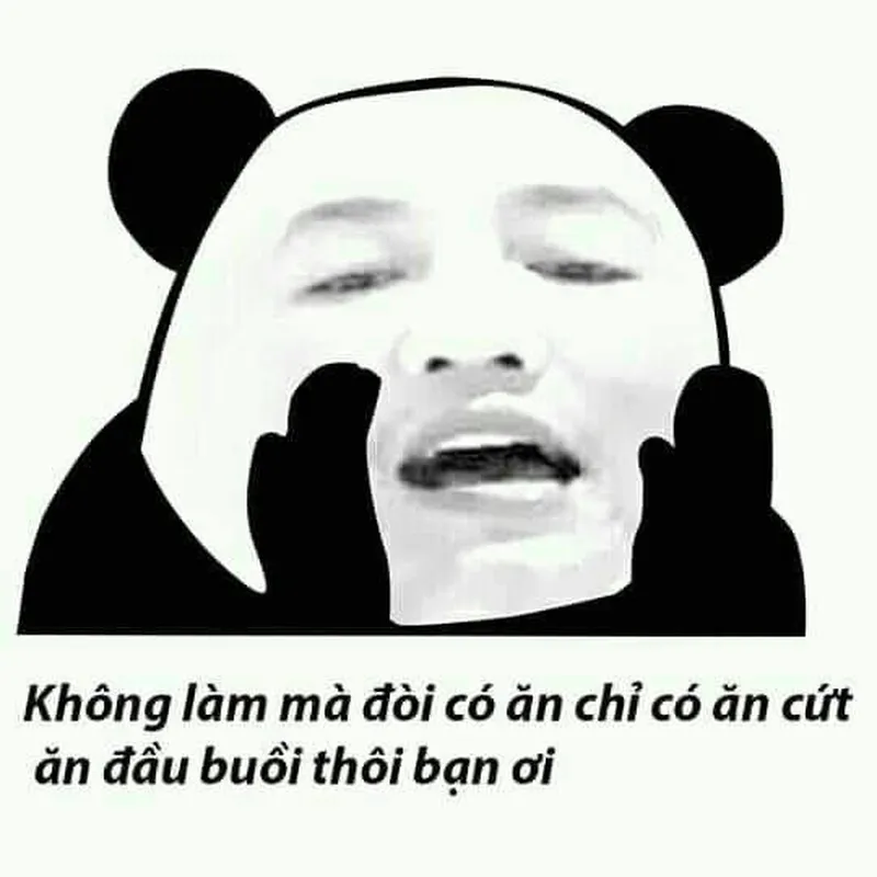 Đồ ngu meme thể hiện sự châm biếm cho những ai không thông minh Đồ ngu meme thể hiện sự châm biếm cho những ai không thông minh
