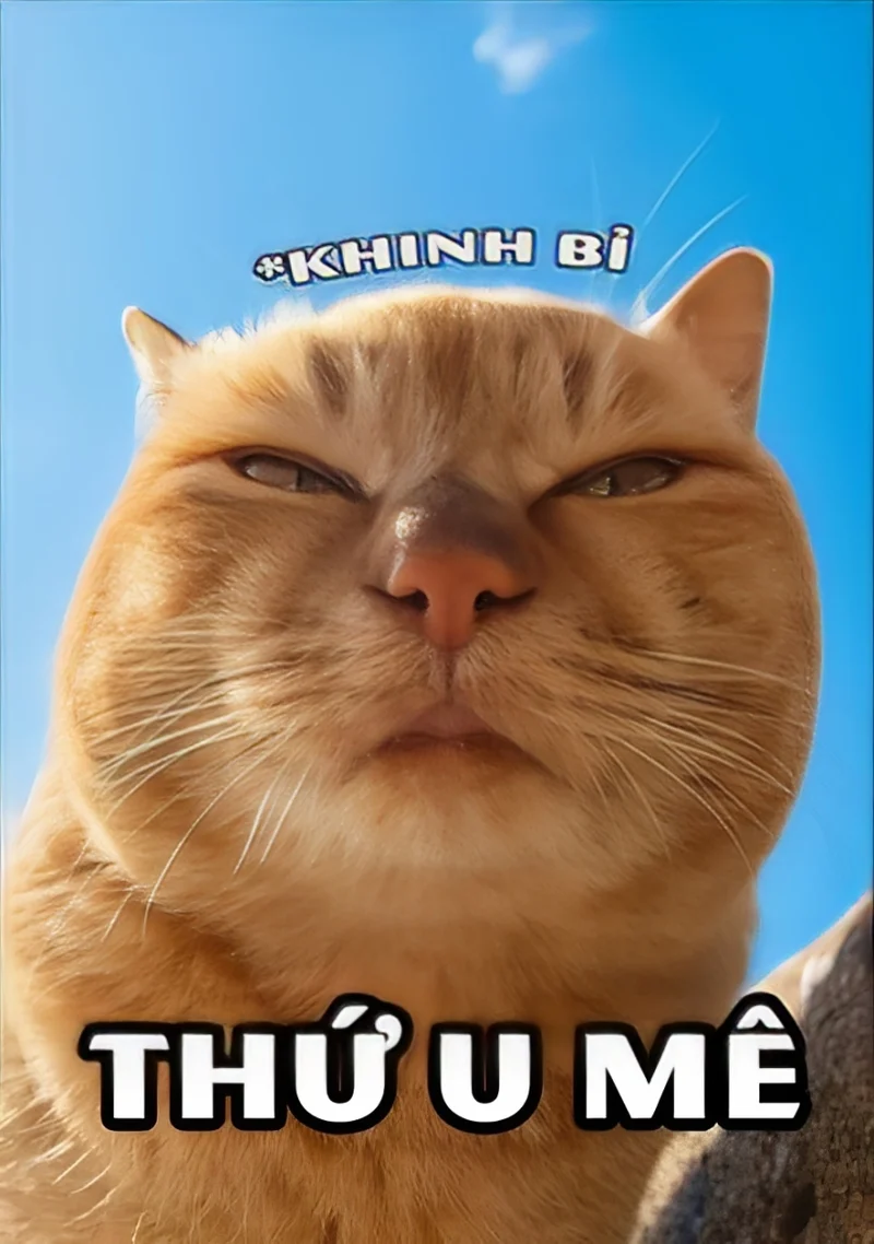 Phiếu bé ngu meme mang đến sự châm biếm cho những ai không thông minh Phiếu bé ngu meme mang đến sự châm biếm cho những ai không thông minh