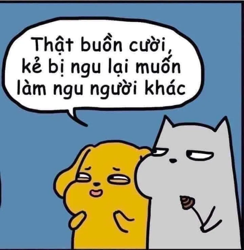 Meme thằng ngu giúp bạn thư giãn và cười thoải mái Meme thằng ngu giúp bạn thư giãn và cười thoải mái
