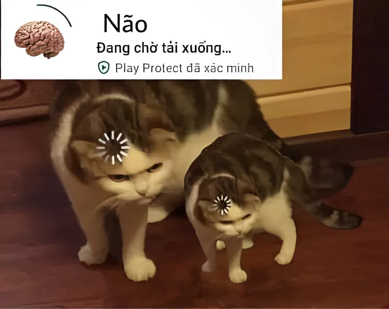 Ngu thì nín meme giúp bạn thể hiện sự hài hước một cách sáng tạo Ngu thì nín meme giúp bạn thể hiện sự hài hước một cách sáng tạo