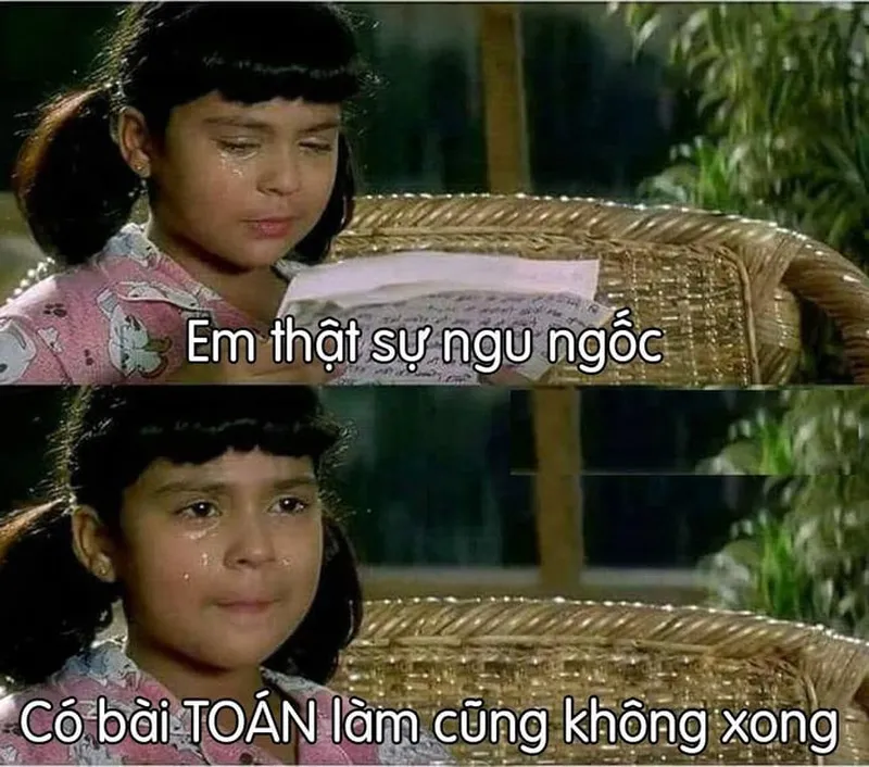 Meme mèo mặt ngu dễ thương khiến mọi người cảm thấy thích thú Meme mèo mặt ngu dễ thương khiến mọi người cảm thấy thích thú