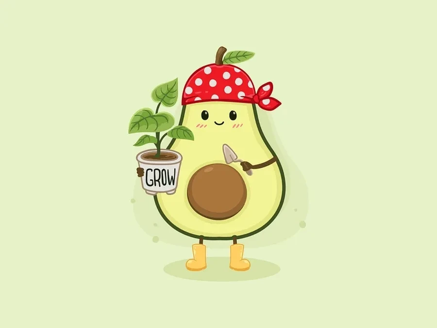 Bơ quả tròn là lựa chọn tuyệt vời cho các món ăn sáng tạo Bơ quả tròn là lựa chọn tuyệt vời cho các món ăn sáng tạo