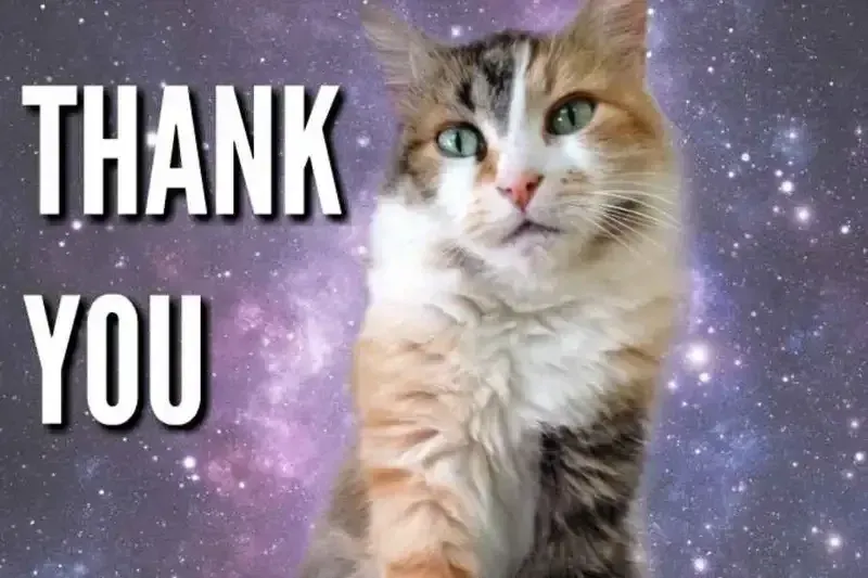 Thank you for watching meme mang đến sự hài hước cho người xem Thank you for watching meme mang đến sự hài hước cho người xem