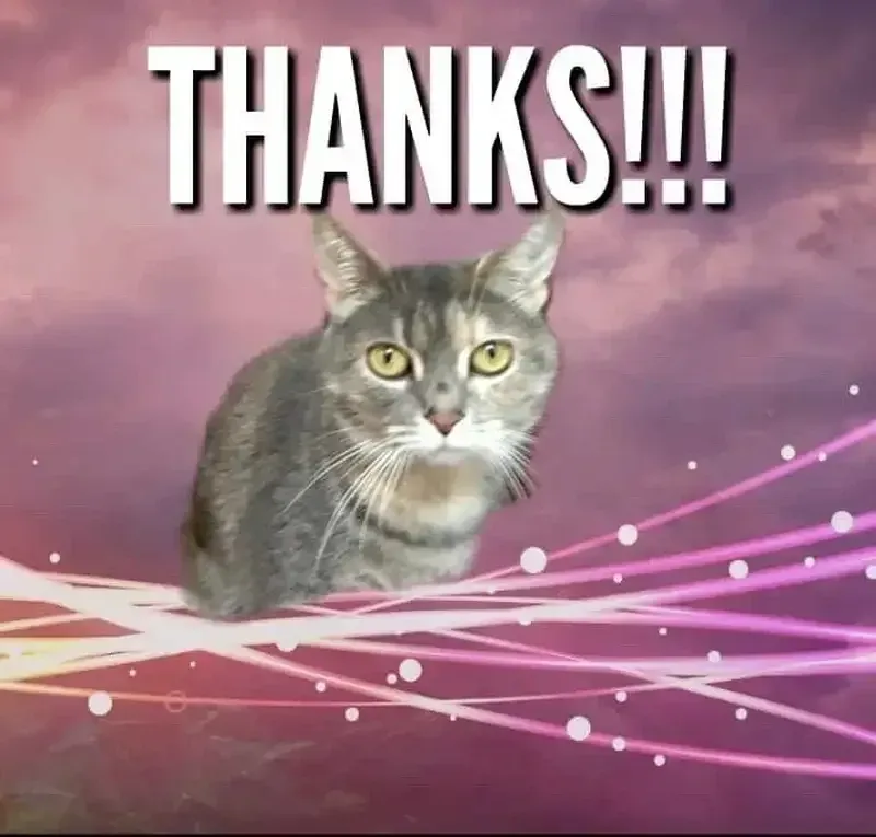 Thank you for your opinion meme giúp bạn thể hiện sự cảm ơn một cách vui vẻ Thank you for your opinion meme giúp bạn thể hiện sự cảm ơn một cách vui vẻ
