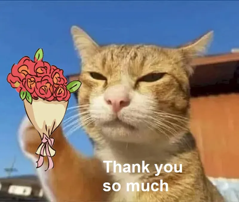 Crying thank you meme thể hiện cảm xúc sâu sắc trong những tình huống khó khăn Crying thank you meme thể hiện cảm xúc sâu sắc trong những tình huống khó khăn