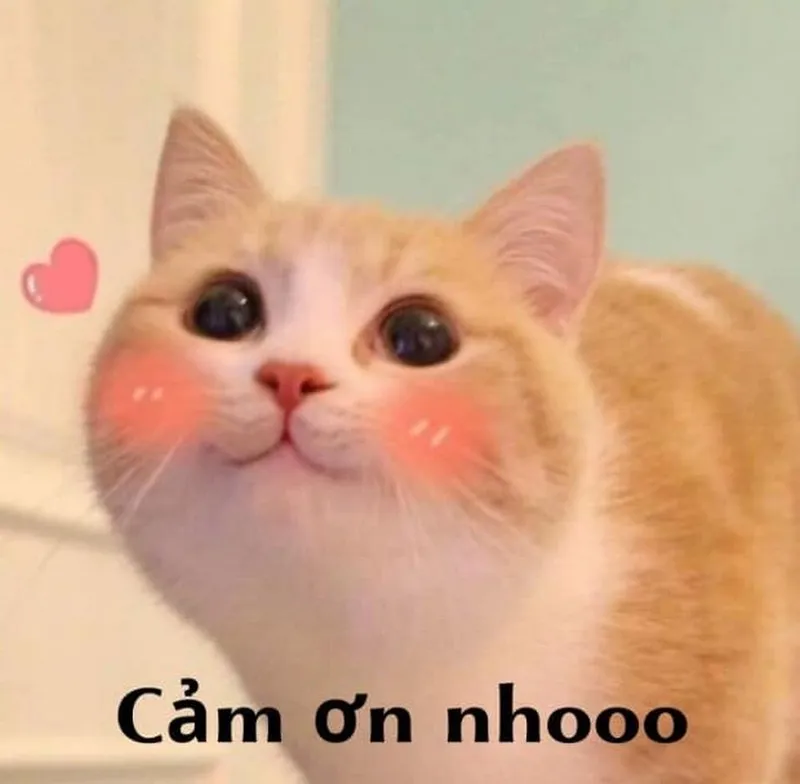 Elvis thank you very much meme giúp bạn thể hiện sự cảm ơn một cách vui vẻ Elvis thank you very much meme giúp bạn thể hiện sự cảm ơn một cách vui vẻ