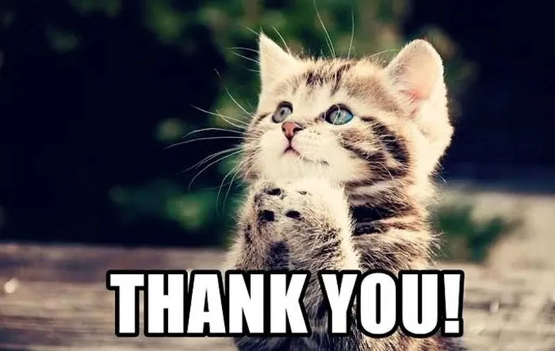 Gif meme thank you giúp bạn ghi lại những khoảnh khắc vui vẻ Gif meme thank you giúp bạn ghi lại những khoảnh khắc vui vẻ