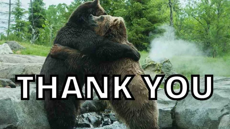 Cat meme thank you mang đến sự hài hước cho những ai yêu thích động vật Cat meme thank you mang đến sự hài hước cho những ai yêu thích động vật
