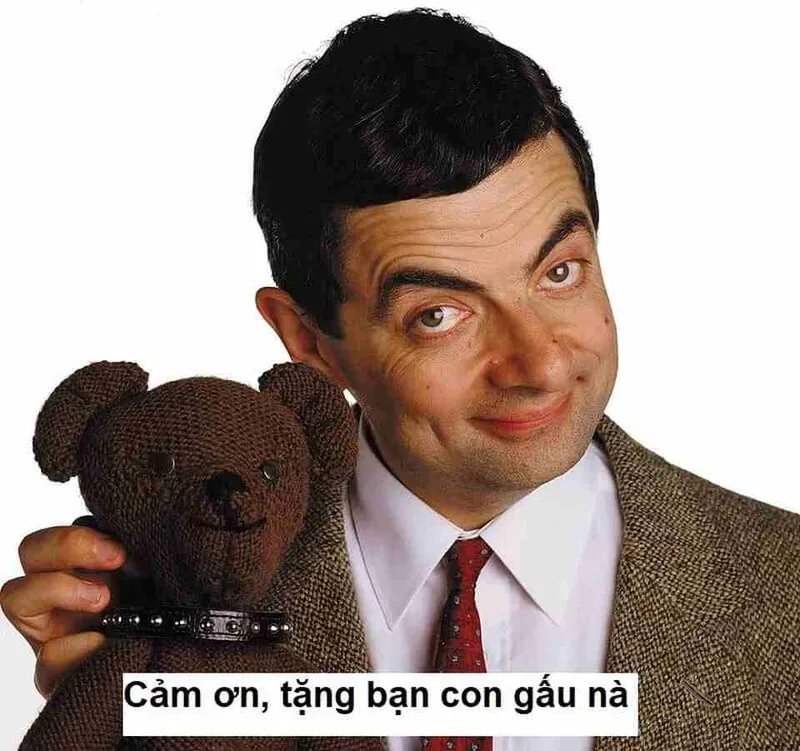 Meme cat thank you dễ thương khiến mọi người cảm thấy thích thú Meme cat thank you dễ thương khiến mọi người cảm thấy thích thú