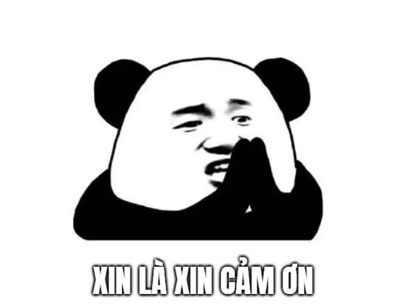 Thank you and good luck meme giúp bạn thể hiện sự chúc phúc một cách sáng tạo Thank you and good luck meme giúp bạn thể hiện sự chúc phúc một cách sáng tạo