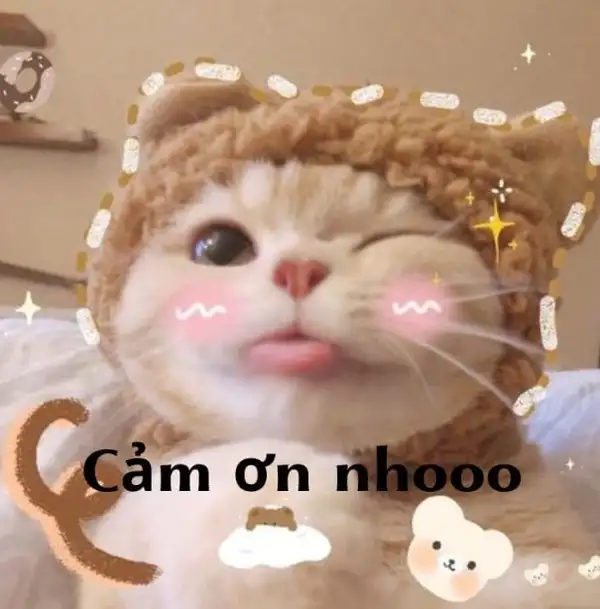 Thank you for being you meme thể hiện sự cảm ơn chân thành đến những người đặc biệt Thank you for being you meme thể hiện sự cảm ơn chân thành đến những người đặc biệt