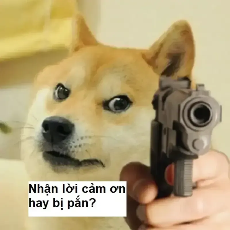 Ảnh meme thank you giúp bạn thể hiện sự cảm ơn một cách sáng tạo Ảnh meme thank you giúp bạn thể hiện sự cảm ơn một cách sáng tạo