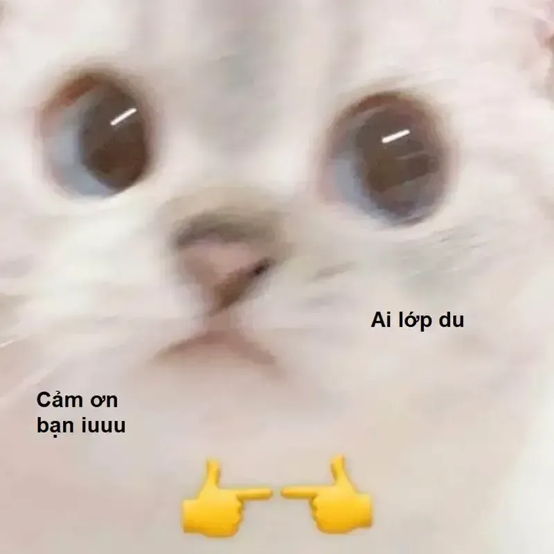 Meme thank you so much mang đến sự dễ thương cho những ai yêu thích sự hài hước Meme thank you so much mang đến sự dễ thương cho những ai yêu thích sự hài hước