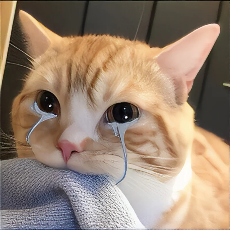 Meme tức giận cute khiến bạn không thể nhịn cười Meme tức giận cute khiến bạn không thể nhịn cười