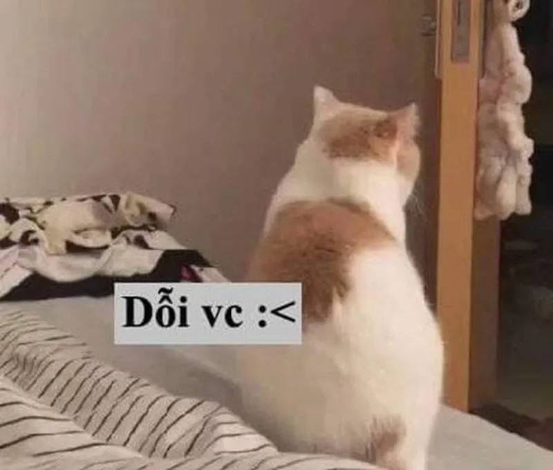 Mochi meme cute thật đáng yêu và vui nhộn Mochi meme cute thật đáng yêu và vui nhộn