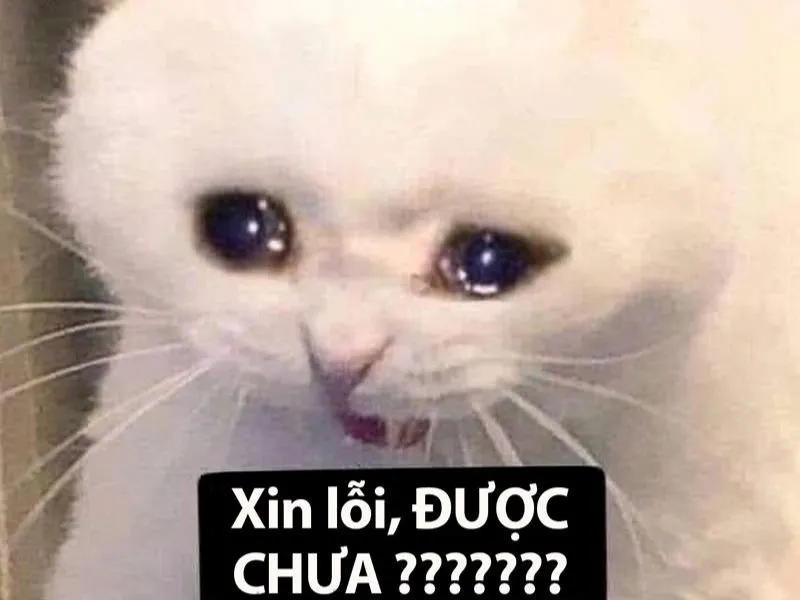 Meme tình yêu cute khiến trái tim bạn tan chảy Meme tình yêu cute khiến trái tim bạn tan chảy