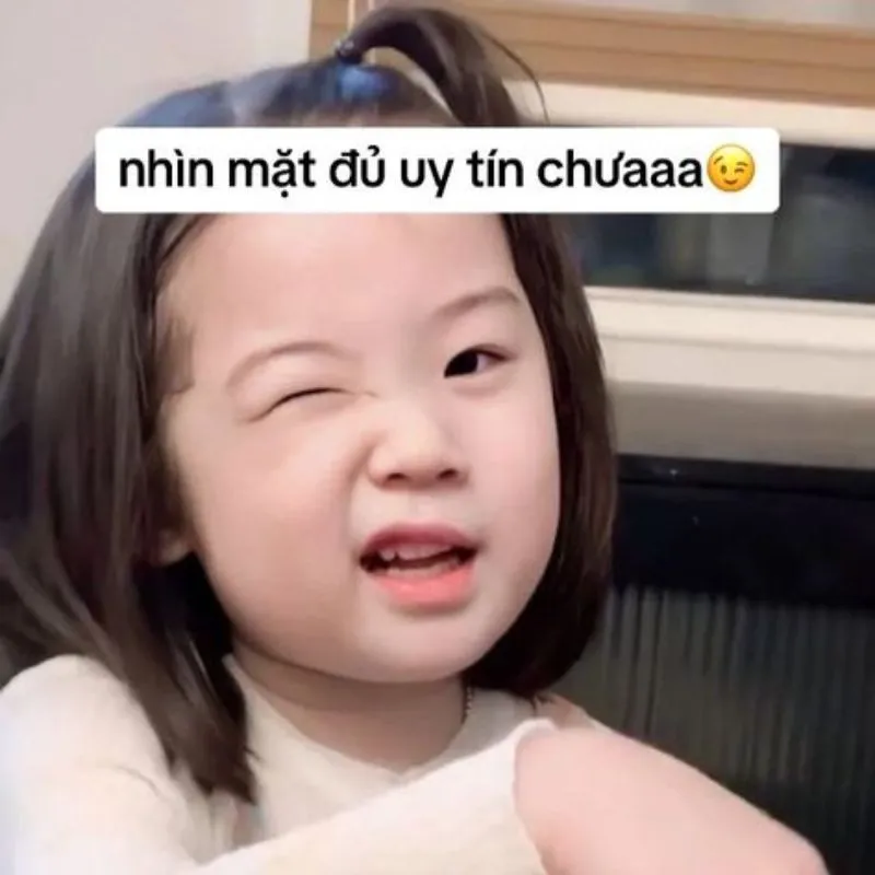 Meme abu uầy đáng yêu vậy trời khiến bạn không thể rời mắt Meme abu uầy đáng yêu vậy trời khiến bạn không thể rời mắt