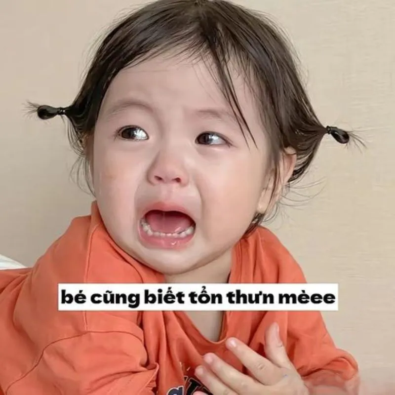 Meme cute có chữ khiến bạn không thể nhịn cười Meme cute có chữ khiến bạn không thể nhịn cười