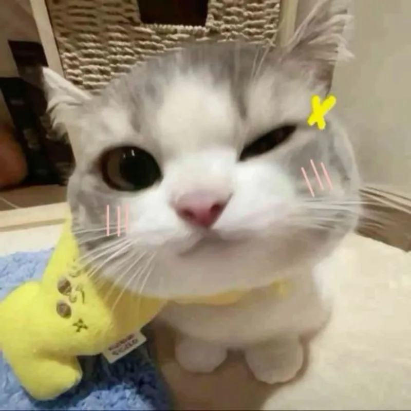 Hình meme đáng yêu khiến bạn cảm thấy thích thú Hình meme đáng yêu khiến bạn cảm thấy thích thú