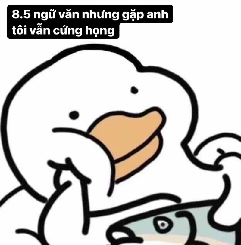 Meme đáng thương thật dễ thương và hài hước Meme đáng thương thật dễ thương và hài hước