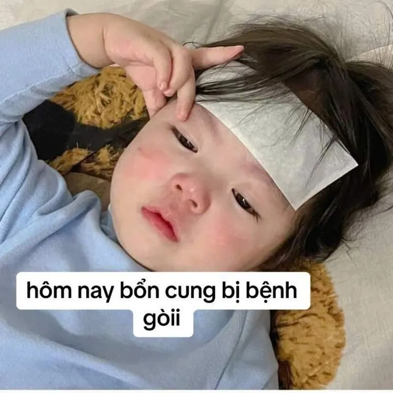 Meme của cậu đáng yêu hơn cậu nhiều khiến bạn cảm thấy thích thú Meme của cậu đáng yêu hơn cậu nhiều khiến bạn cảm thấy thích thú