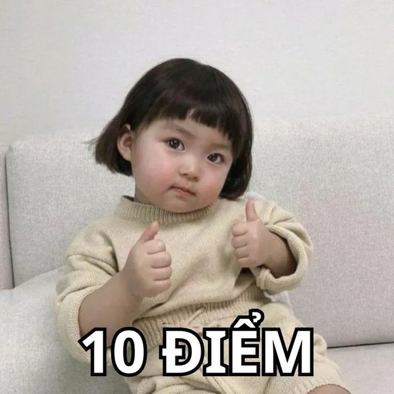 Meme đáng yêu quá khiến bạn không thể rời mắt Meme đáng yêu quá khiến bạn không thể rời mắt