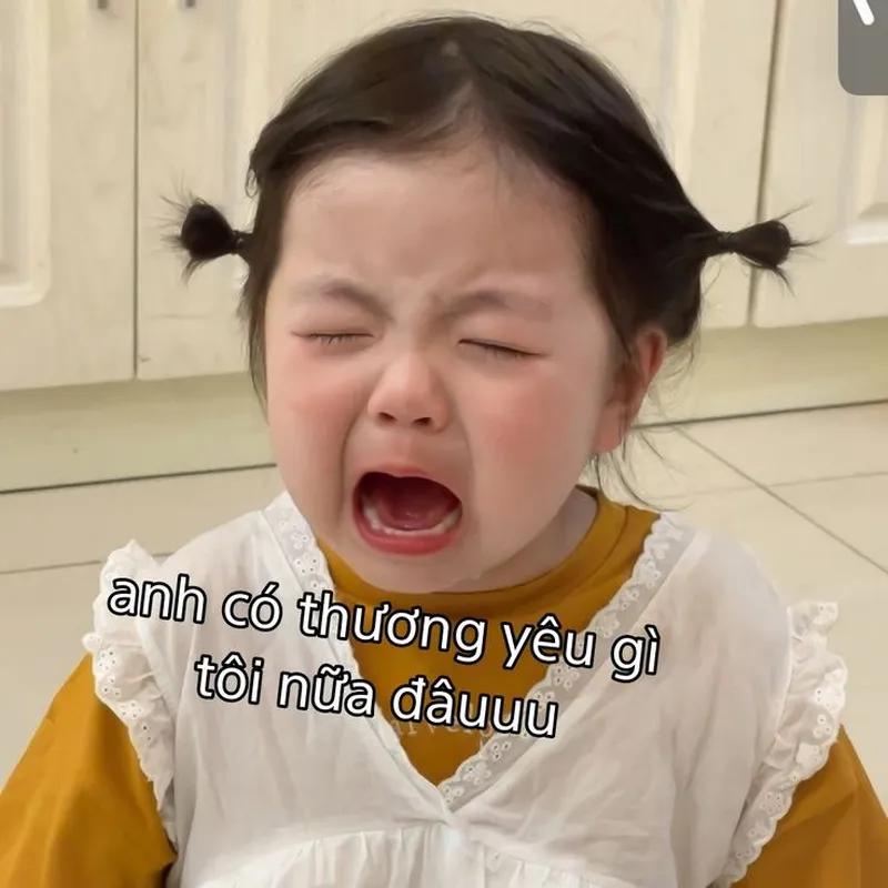 Mèo cute đáng yêu meme khiến bạn không thể rời mắt Mèo cute đáng yêu meme khiến bạn không thể rời mắt