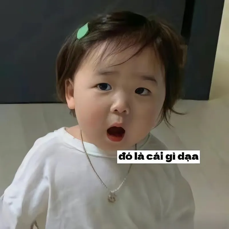 Ảnh mèo cute meme giận dỗi khiến bạn cảm thấy đồng cảm Ảnh mèo cute meme giận dỗi khiến bạn cảm thấy đồng cảm