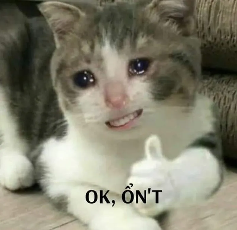 Meme ok anh khiến bạn không thể nhịn cười Meme ok anh khiến bạn không thể nhịn cười