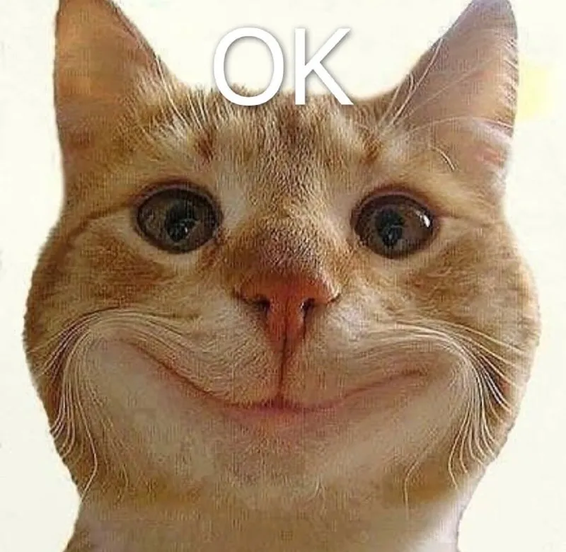 Mèo ok meme khiến bạn không thể nhịn cười Mèo ok meme khiến bạn không thể nhịn cười