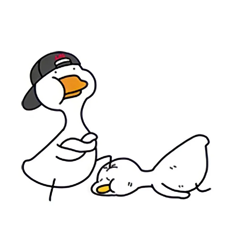 Ảnh meme vịt mang đến sự hài hước cho những ai yêu thích động vật Ảnh meme vịt mang đến sự hài hước cho những ai yêu thích động vật