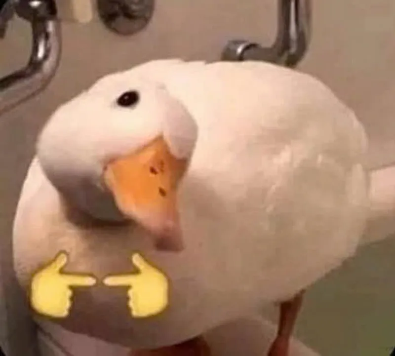 Meme vịt cầm dao thể hiện sự hài hước trong những tình huống bất ngờ Meme vịt cầm dao thể hiện sự hài hước trong những tình huống bất ngờ