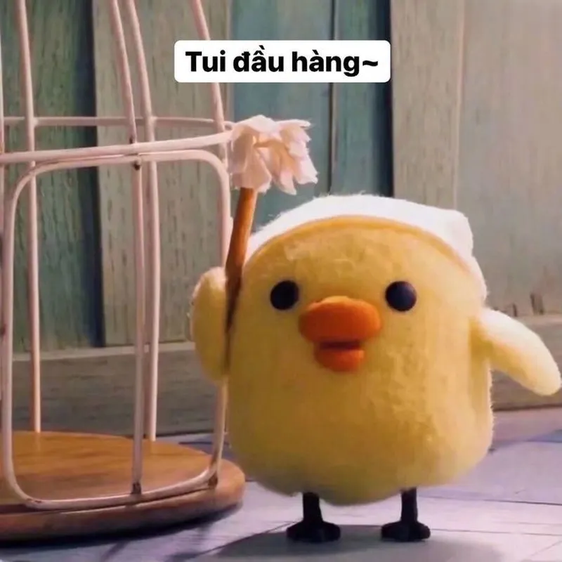 Meme vịt donald mang đến sự hài hước cho những ai yêu thích hoạt hình Meme vịt donald mang đến sự hài hước cho những ai yêu thích hoạt hình