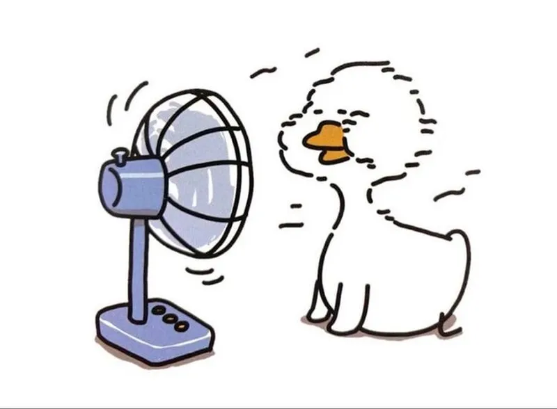 Meme vịt chu mỏ giúp bạn thể hiện sự dễ thương một cách sáng tạo Meme vịt chu mỏ giúp bạn thể hiện sự dễ thương một cách sáng tạo