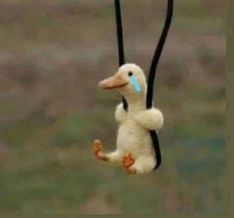 Vịt donald meme mang đến sự hài hước cho những ai yêu thích hoạt hình Vịt donald meme mang đến sự hài hước cho những ai yêu thích hoạt hình