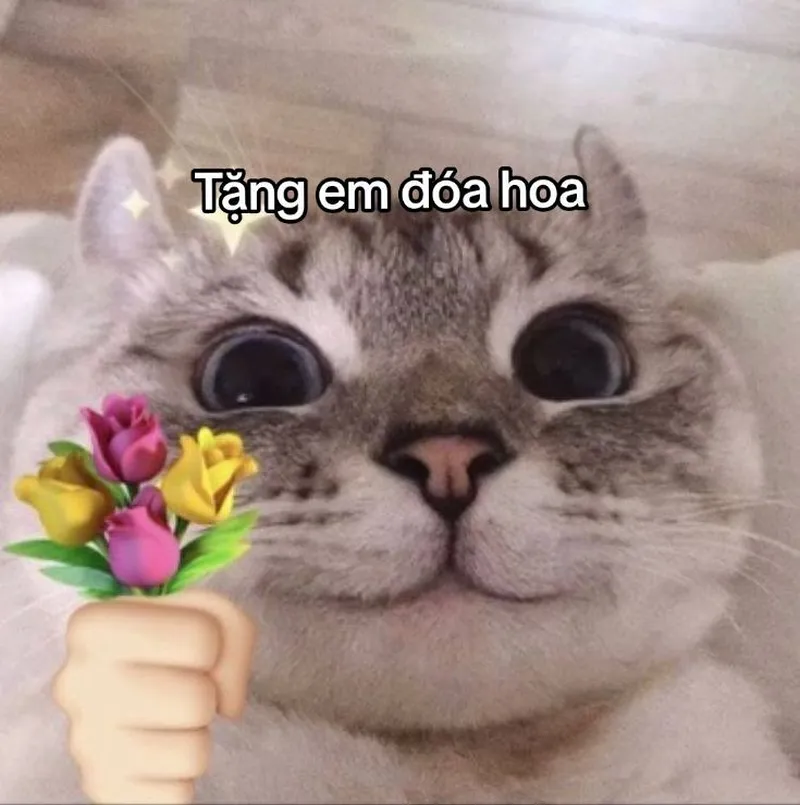 Meme quà tặng cuộc sống giúp bạn thể hiện sự hài hước trong cuộc sống hàng ngày Meme quà tặng cuộc sống giúp bạn thể hiện sự hài hước trong cuộc sống hàng ngày