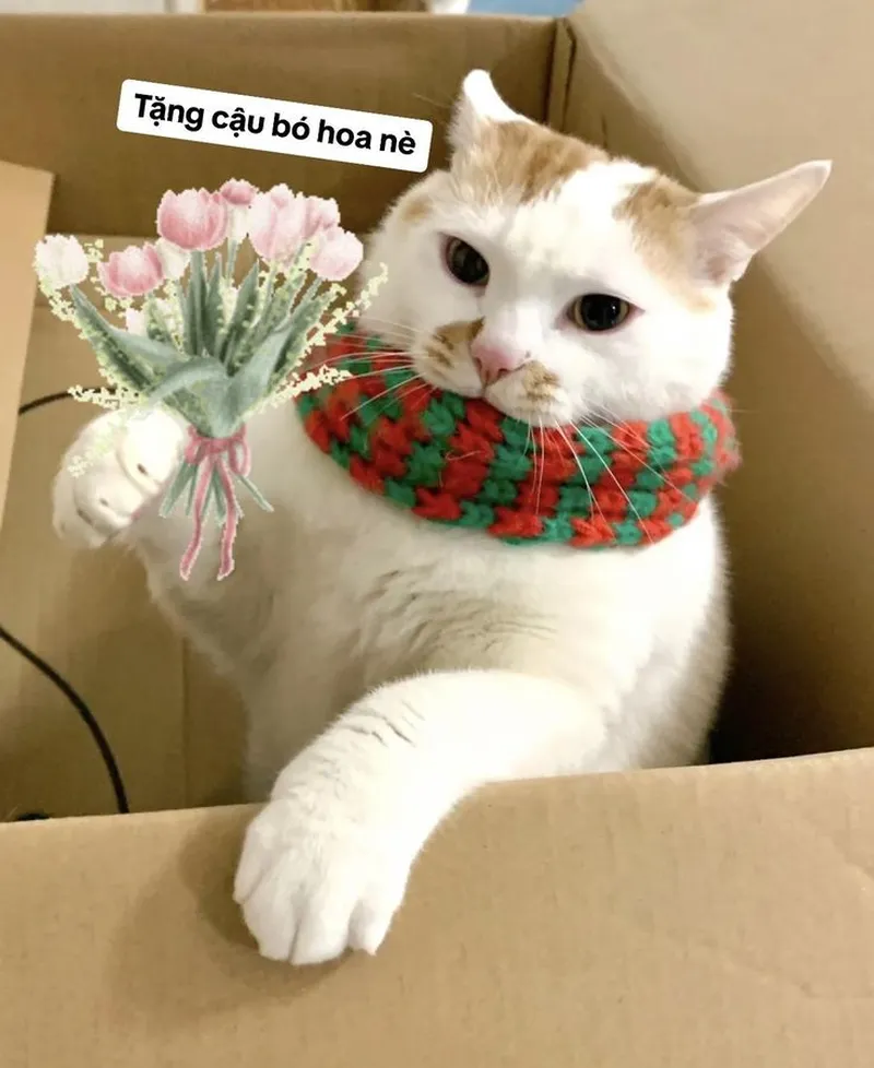 Meme tặng tim mang đến sự dễ thương cho những ai yêu thích tình yêu Meme tặng tim mang đến sự dễ thương cho những ai yêu thích tình yêu