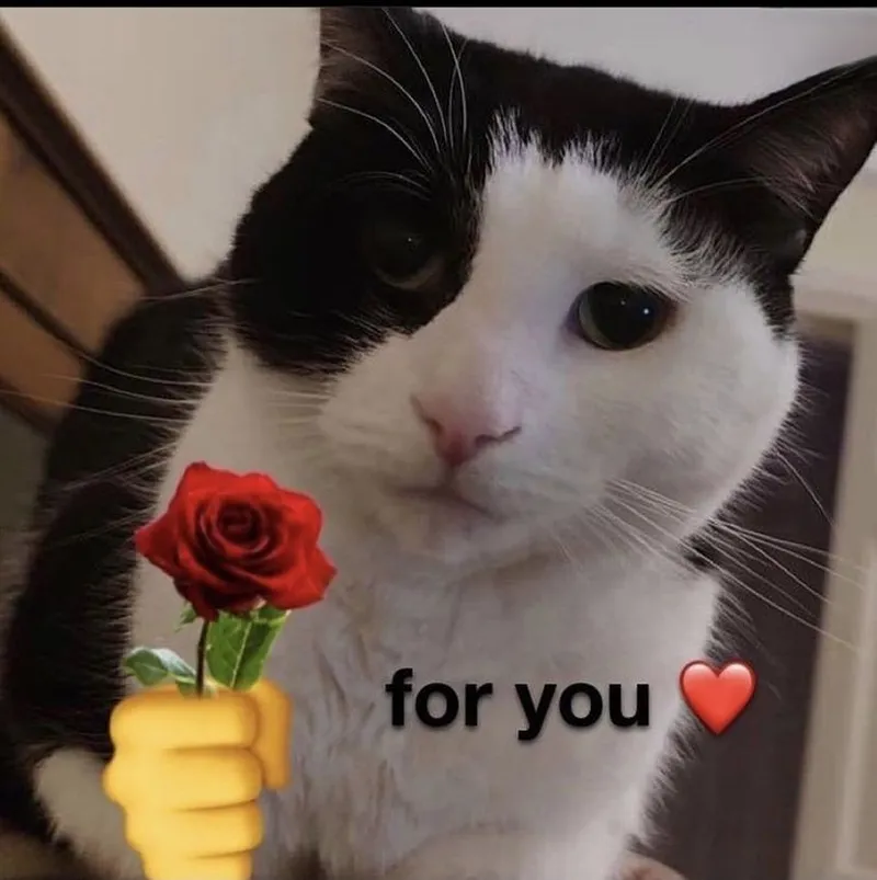 Tặng hoa meme giúp bạn thể hiện tình cảm một cách sáng tạo Tặng hoa meme giúp bạn thể hiện tình cảm một cách sáng tạo